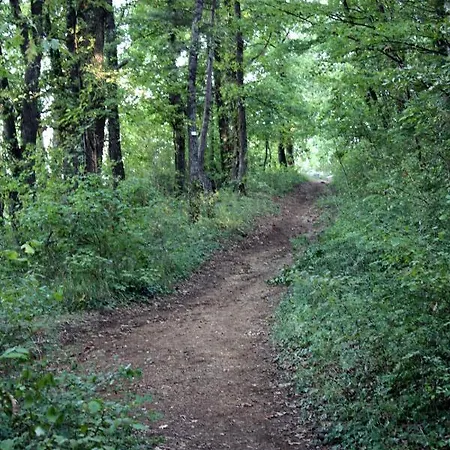 לינה וארוחת בוקר Cocon D'argile 3*