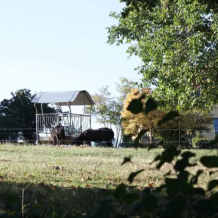 Bed & Breakfast Cocon D'argile