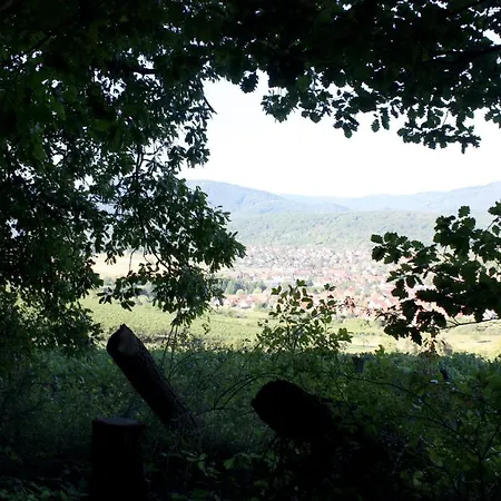 Cocon D'argile ベッド・アンド・ブレックファスト Bischoffsheim