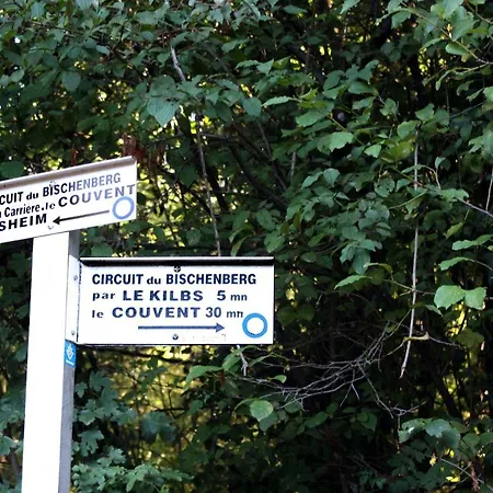 ベッド・アンド・ブレックファスト Cocon D'argile Bischoffsheim