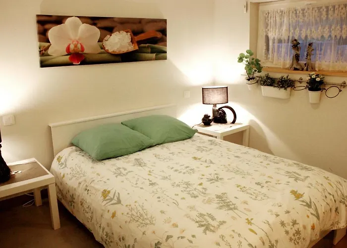 Cocon D'argile Bed & Breakfast Bischoffsheim
