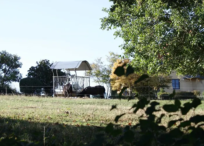 Bed & Breakfast Cocon D'argile