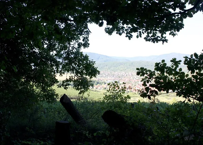 Cocon D'argile Bed & Breakfast Bischoffsheim