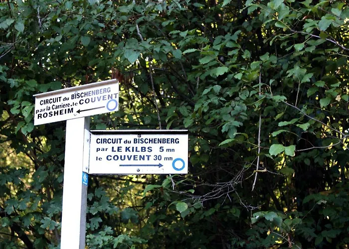 Bed & Breakfast Cocon D'argile Bischoffsheim